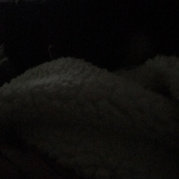 Meet your Posher, Carol - Picture 1 of 1